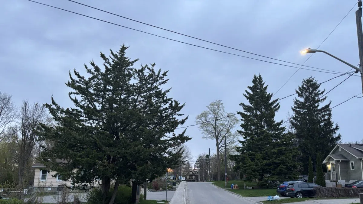 Post Image