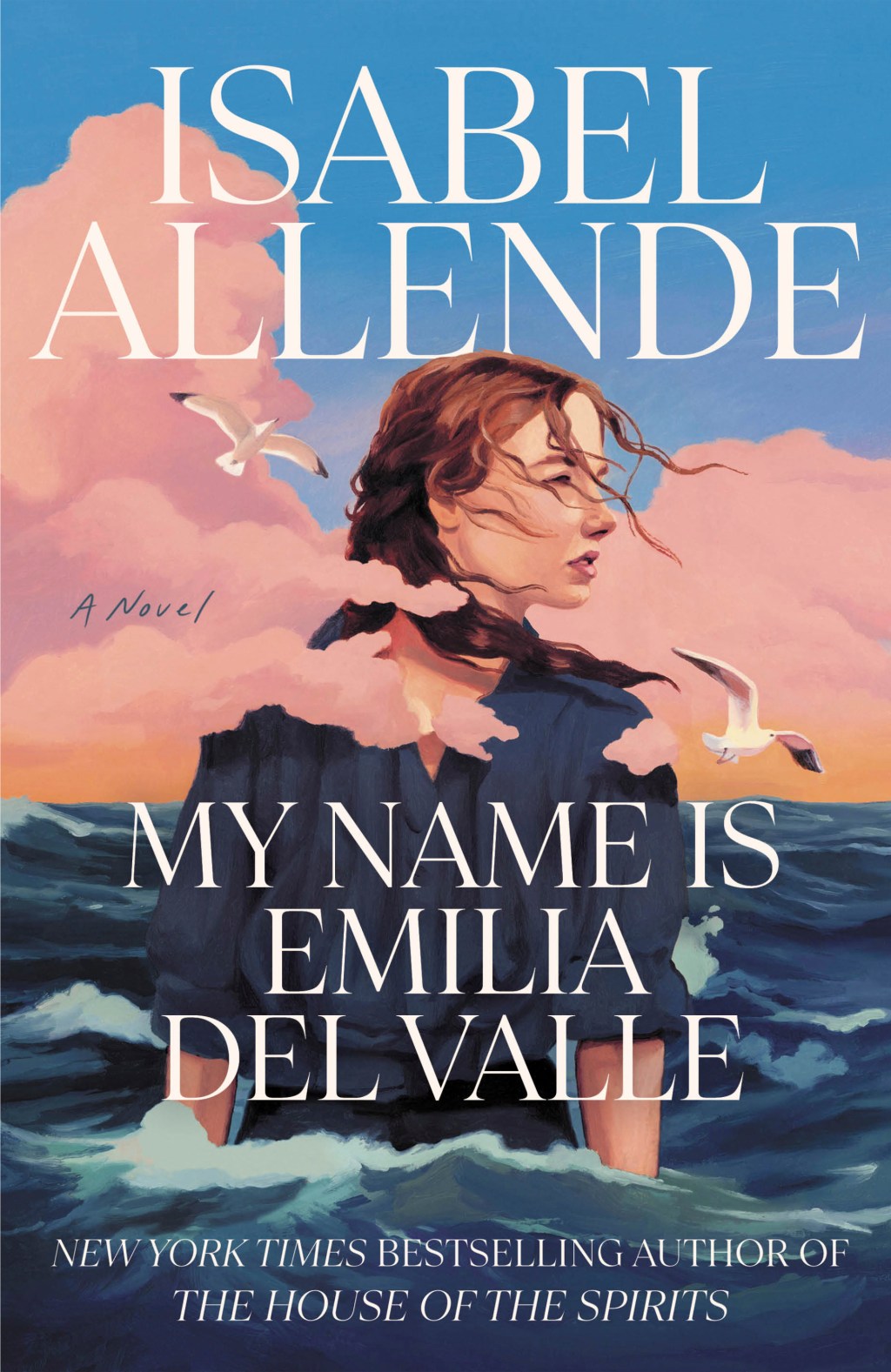 Allende's New Novel: A Young Journalist's Journey