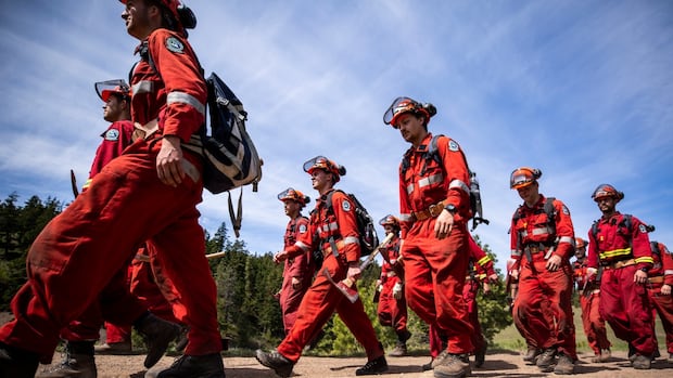 B.C. Wildfire Crews Join The Pas Fire Fight