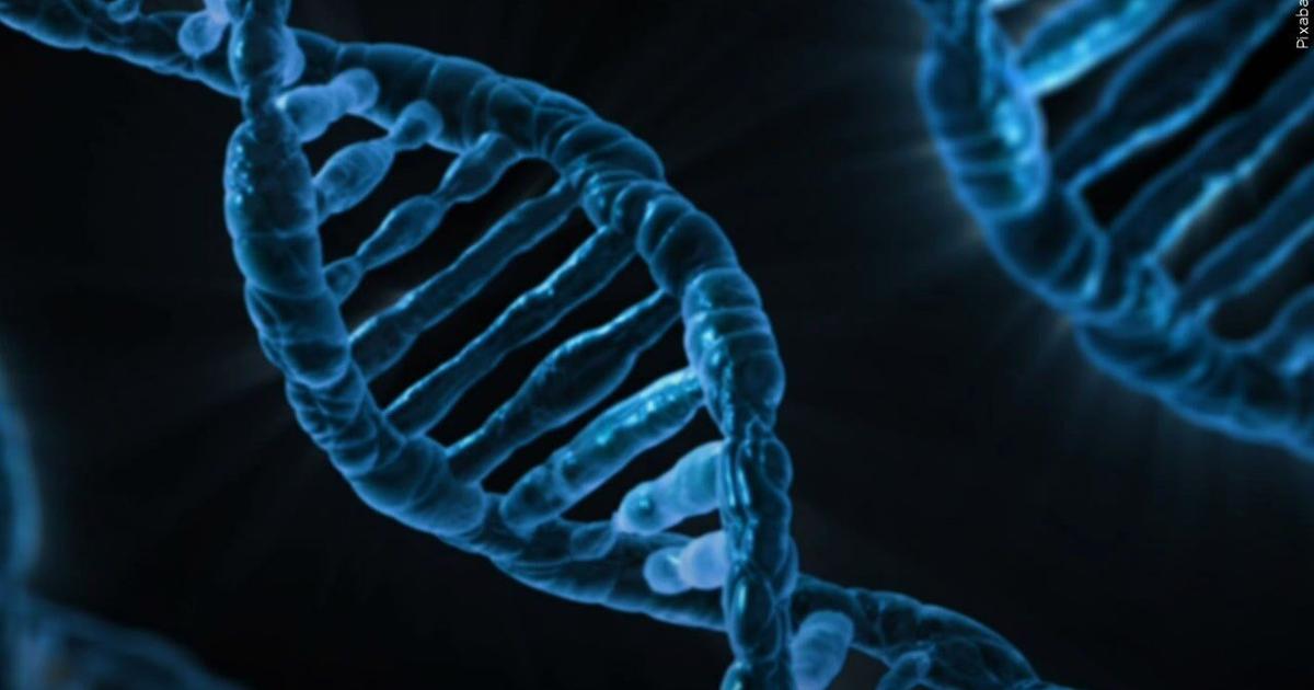 DNA Test Kit Concerns: What To Know Before You Buy
