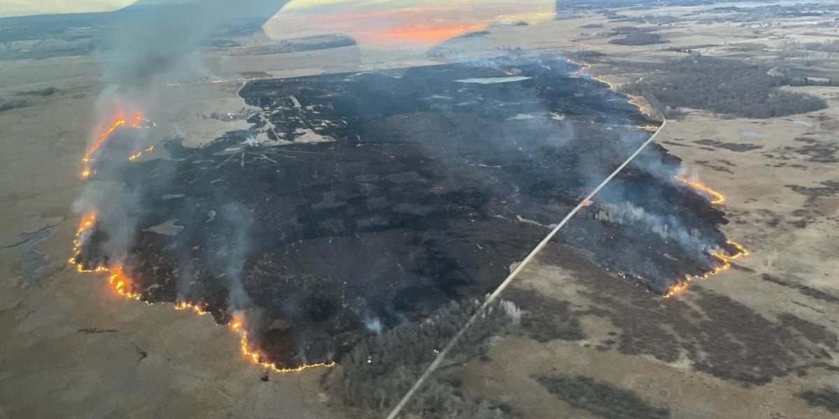 DNR Fire Ban: High Danger, No Burning Allowed