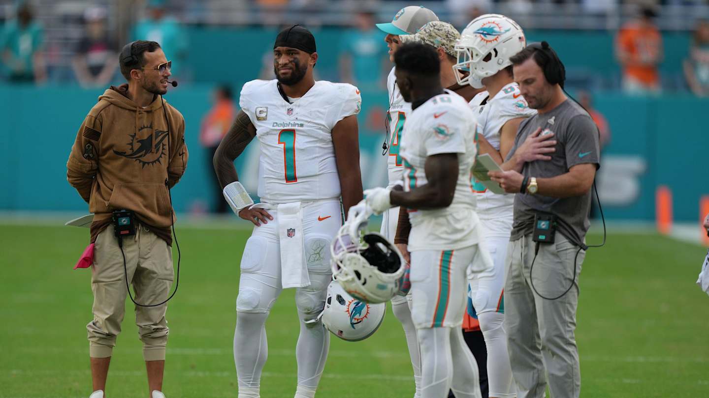 Dolphins Vs Spain: Game Report Analysis