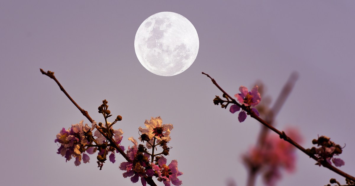 Full Moon In Scorpio (May 2025): Your Zodiac Sign's Forecast