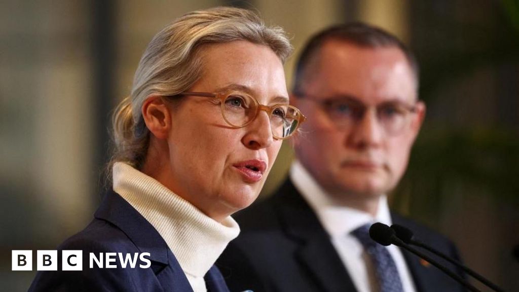 Germany's AfD: Extremist Label Sparks Global Debate