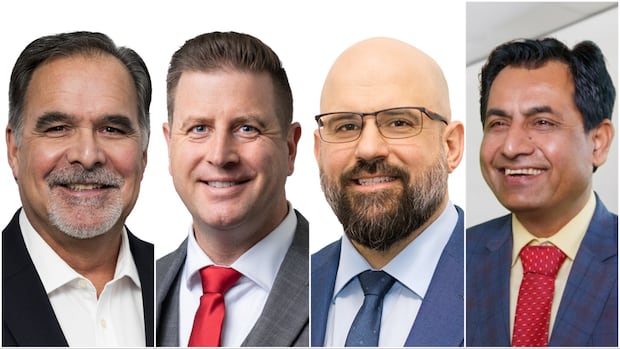 Hamilton & Niagara: 4 New MPs Elected