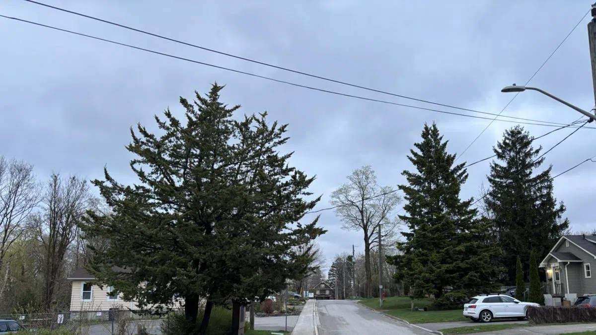 Milton Weather: Friday, May 2nd Forecast
